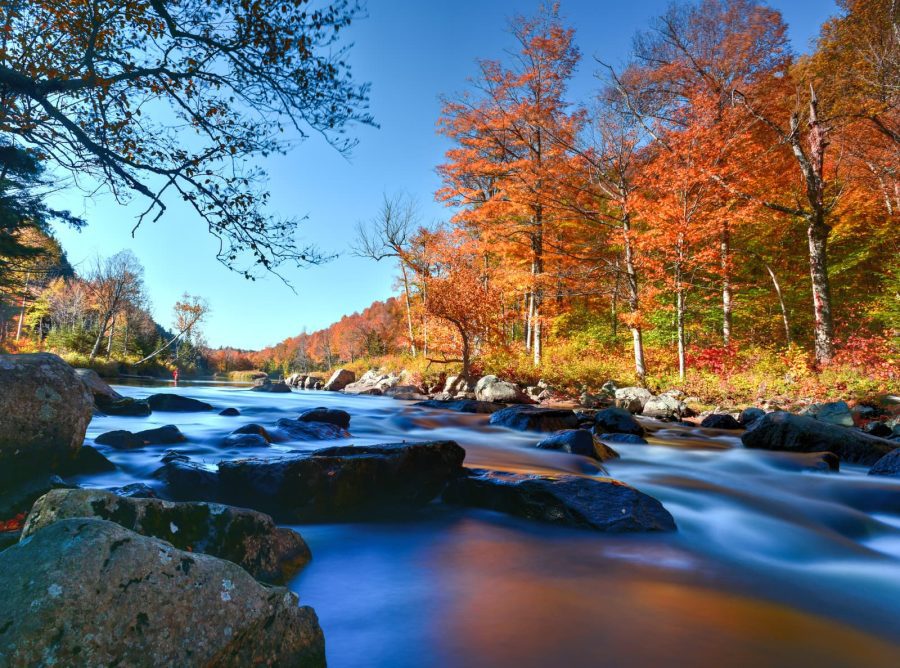 fly fishing in upstate New York