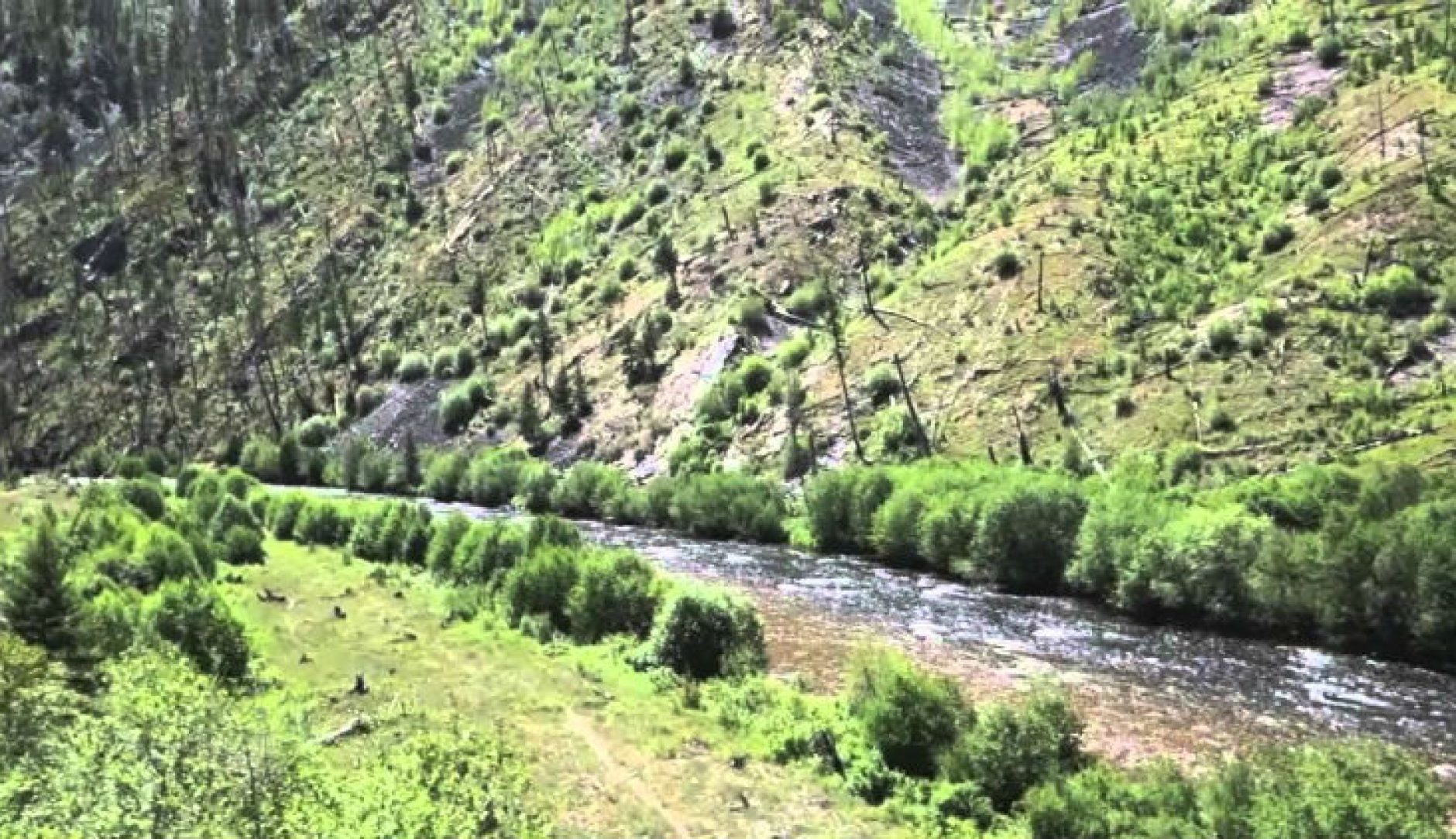 [DIY] Guide to Fly Fishing Rock Creek in Montana