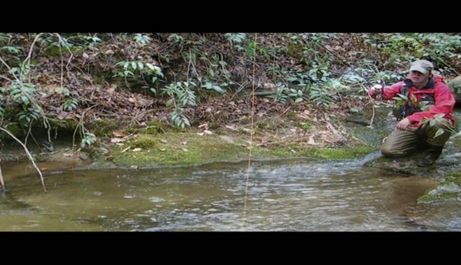 DIY Guide to the Best Fly Fishing in Great Smoky Mountains National