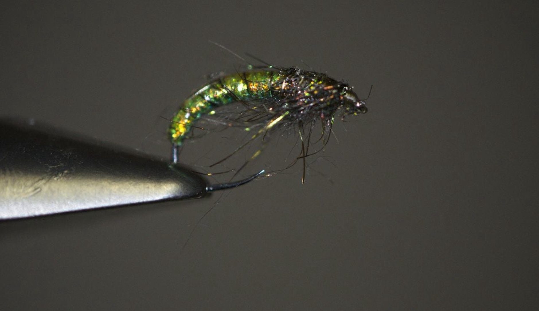 Hydro Caddis Larva by Rich Strolis • Fly Fishing Reporter