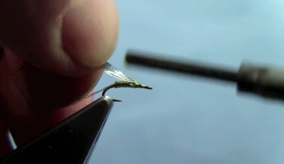 [Video] How to Tie a Trico Spinner • Fly Fishing Reporter
