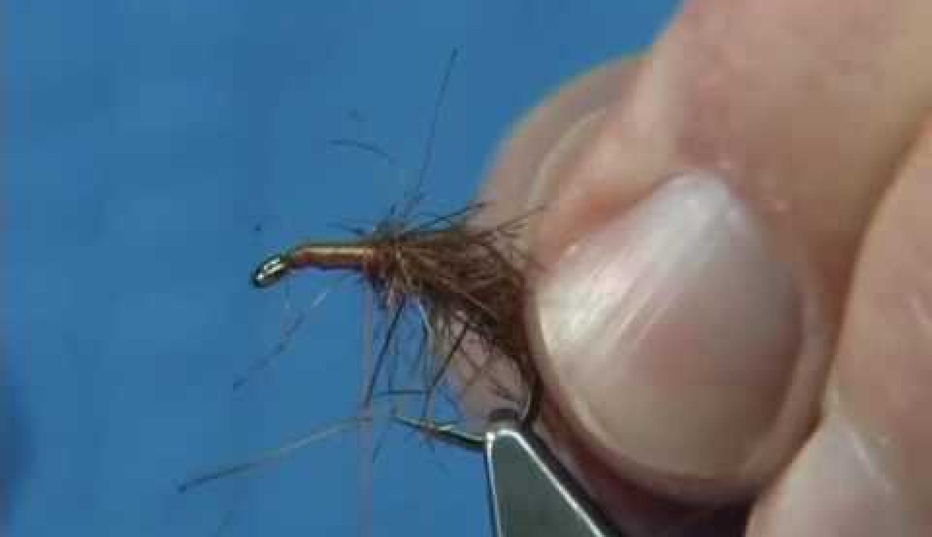 [Video] Tying A Caddis Nymph Pupa by Davie McPhail