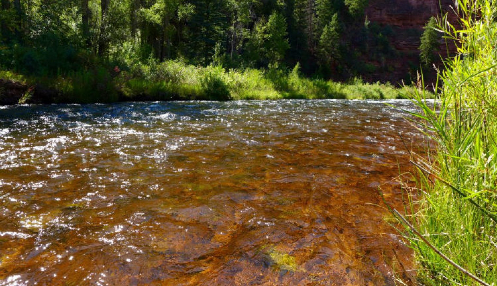 DIY Guide to Fly Fishing the Frying Pan River in Colorado DIY Fly Fishing