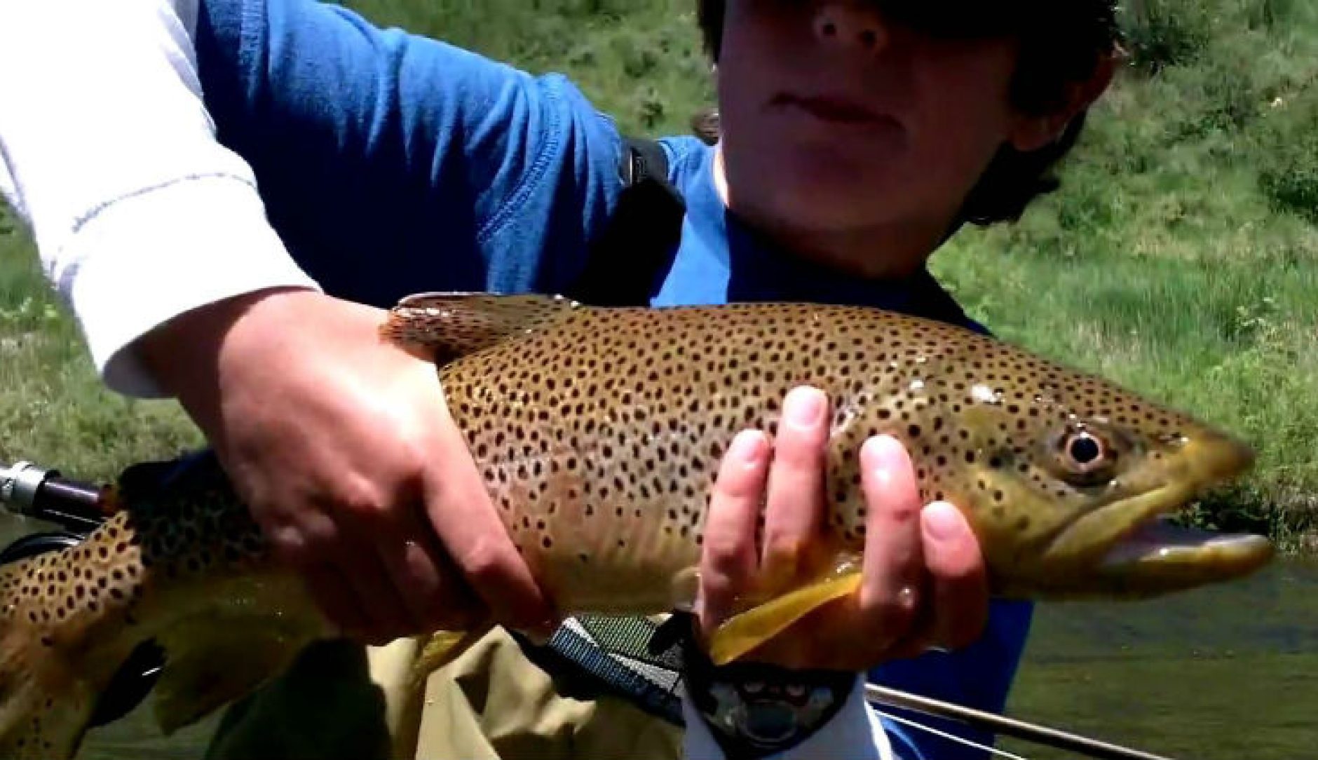 DIY Guide to Fly Fishing the Yampa River in Colorado DIY Fly Fishing