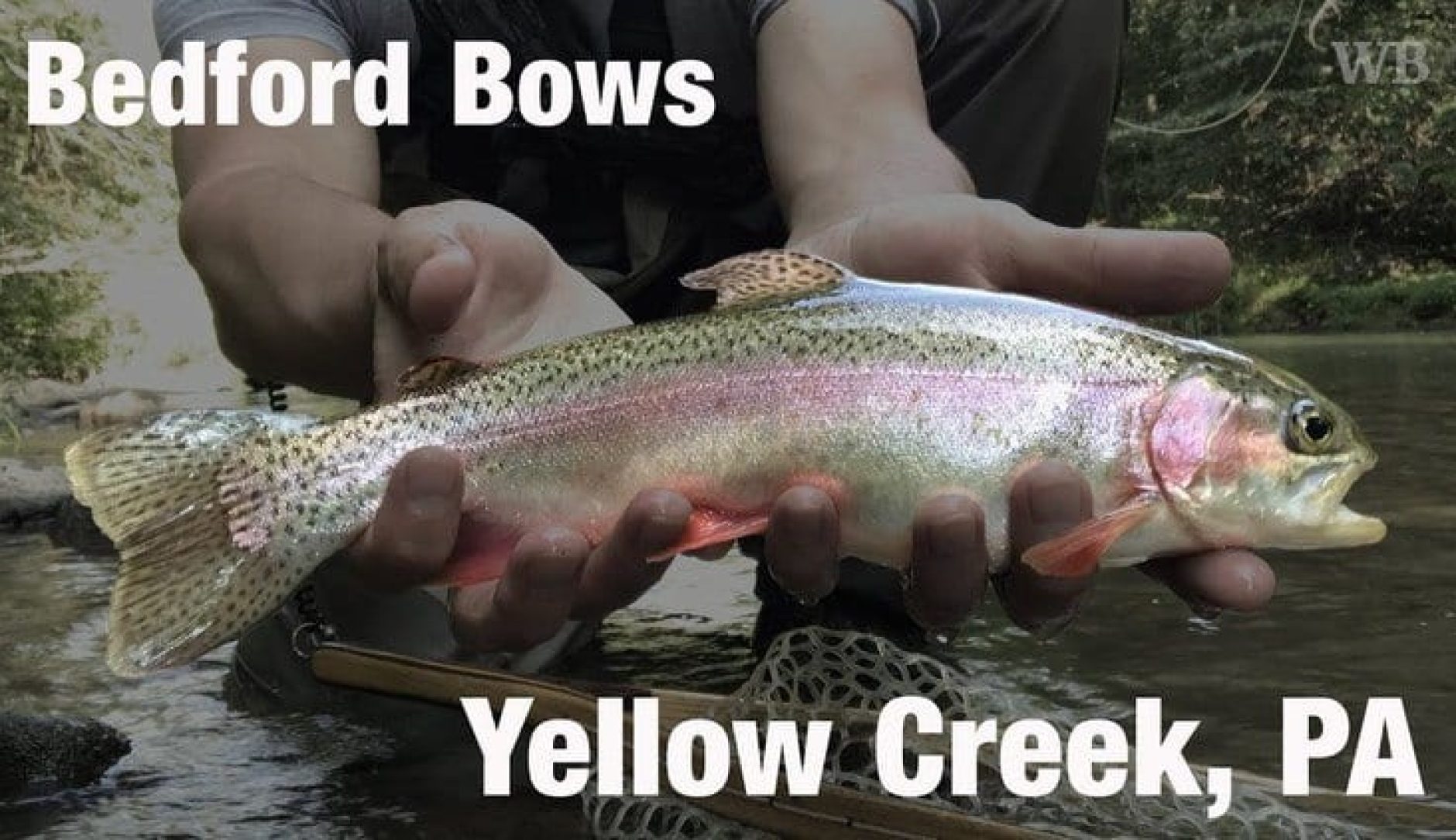 DIY Guide to Fly Fishing Yellow Creek in South Central Pennsylvania