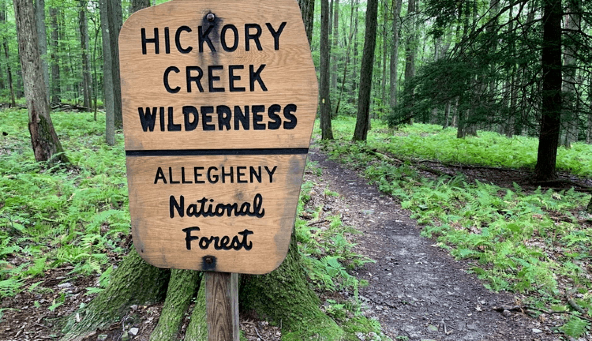 DIY Guide to Fly Fishing Hickory Creek in Northwest Pennsylvania DIY