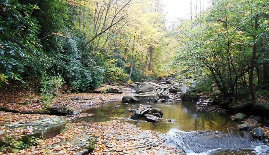 DIY Guide to Fly Fishing Spring Creek in Pennsylvania DIY Fly Fishing