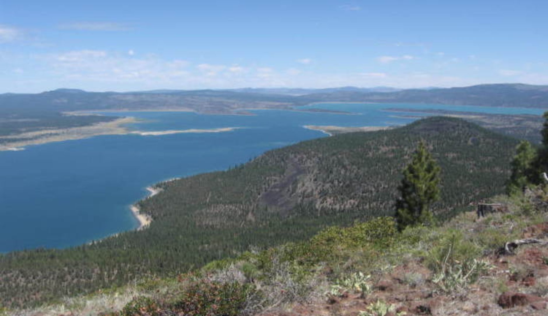 DIY Guide to Fly Fishing Eagle Lake in California DIY Fly Fishing