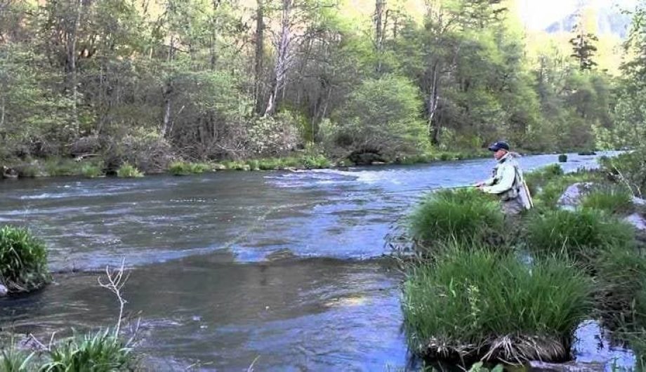 DIY Guide to Fly Fishing Feather River in California DIY Fly Fishing