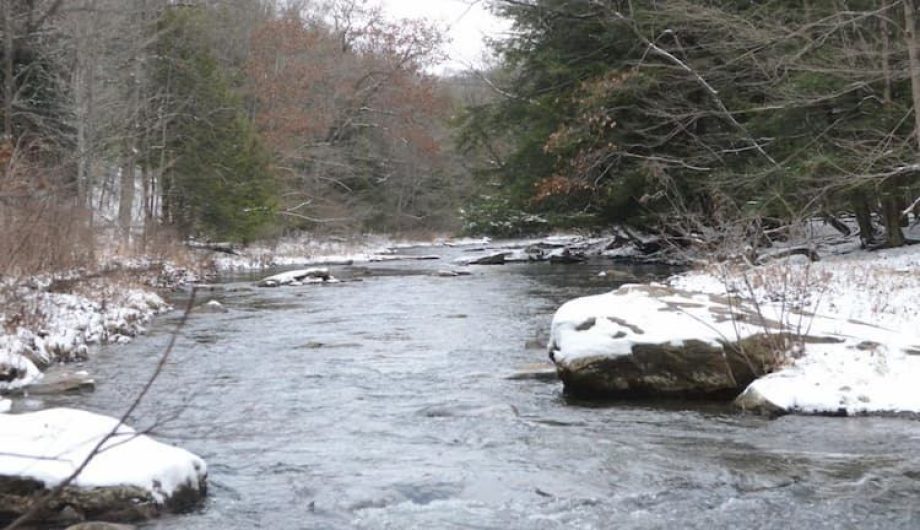 DIY Guide to Fly Fishing the Little Juniata River DIY Fly Fishing