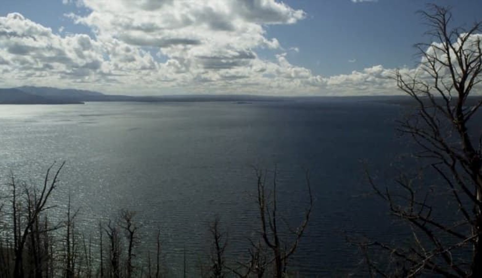 DIY Guide to Fly Fishing Yellowstone Lake DIY Fly Fishing