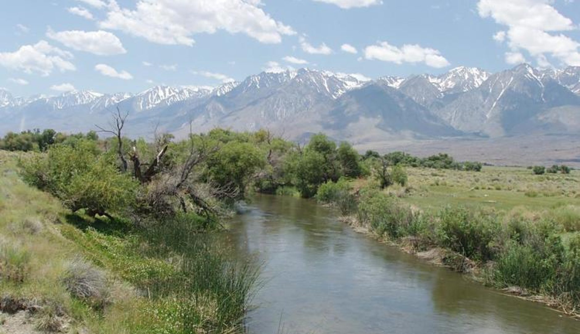 DIY Guide to Fly Fishing the Upper Owens River in California DIY Fly