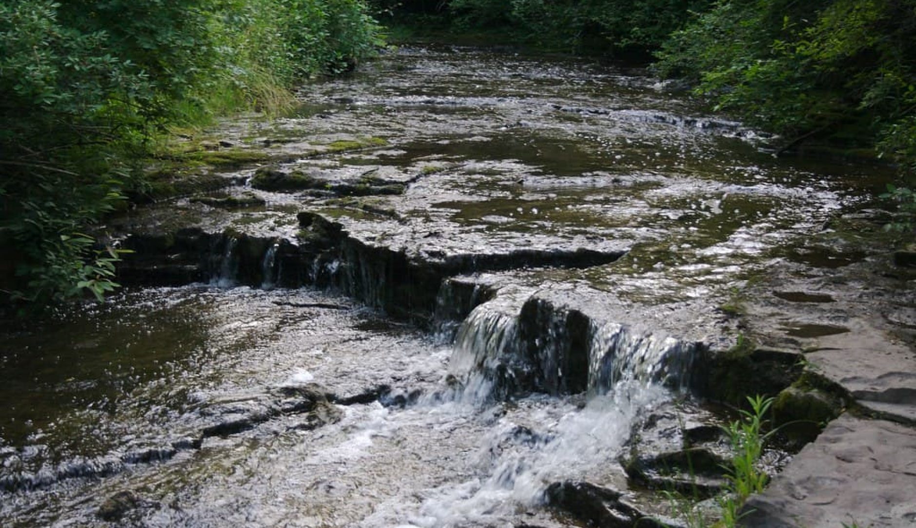 DIY Guide to Fly Fishing Eighteen Mile Creek (Lake Ontario) in New York