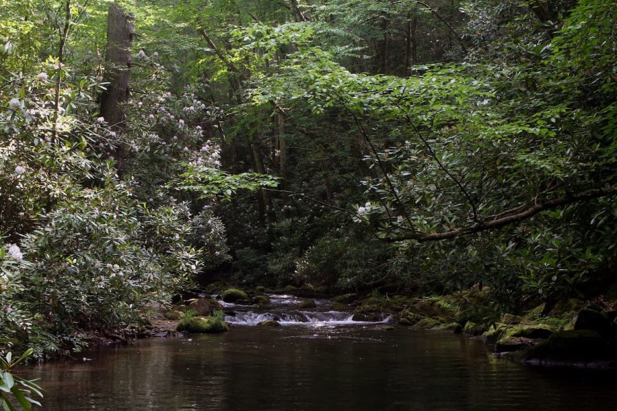 Eagle Creek in Great Smoky Mountains National Park
