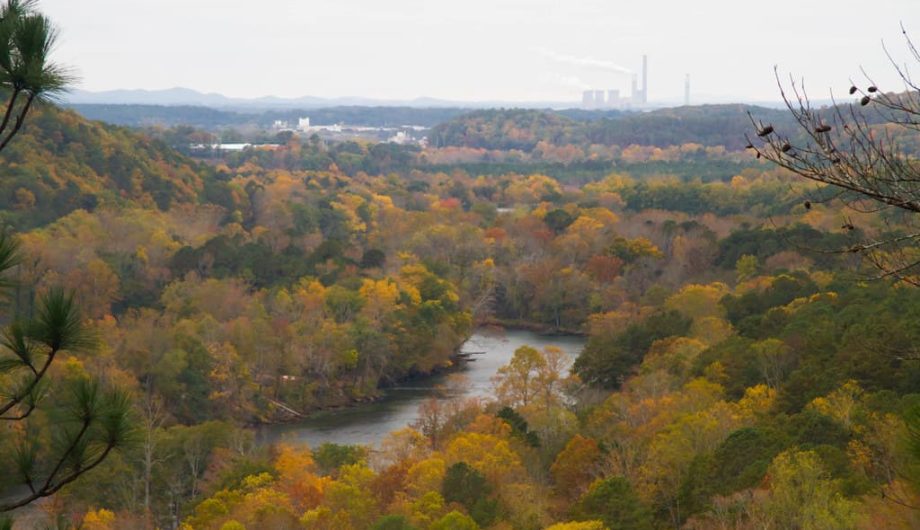 DIY Guide to Fly Fishing the Chattahoochee River in DIY Fly