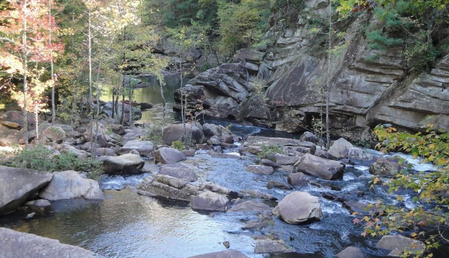 DIY Guide to Fly Fishing the Chattahoochee River in DIY Fly