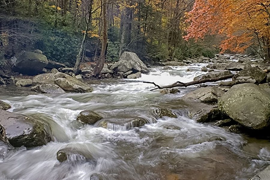 West Prong Little Pigeon River in Great Smoky Mountains National Park