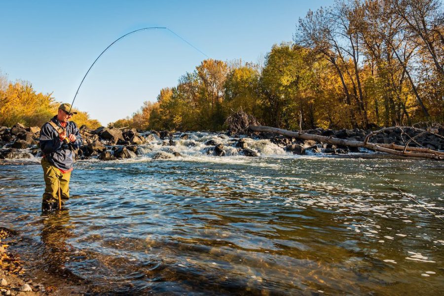 facts on how does fly fishing work