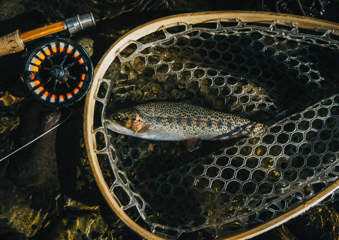 Farmington River Fly Fishing Guide - Jarrett Mills E2L2pMppR1U Unsplash 1128x800