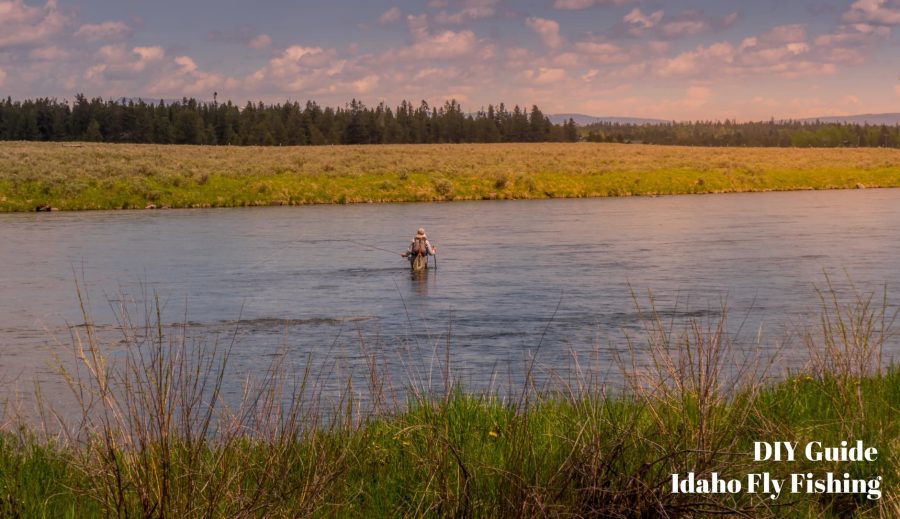 A man is fly fishing a river in Idaho.